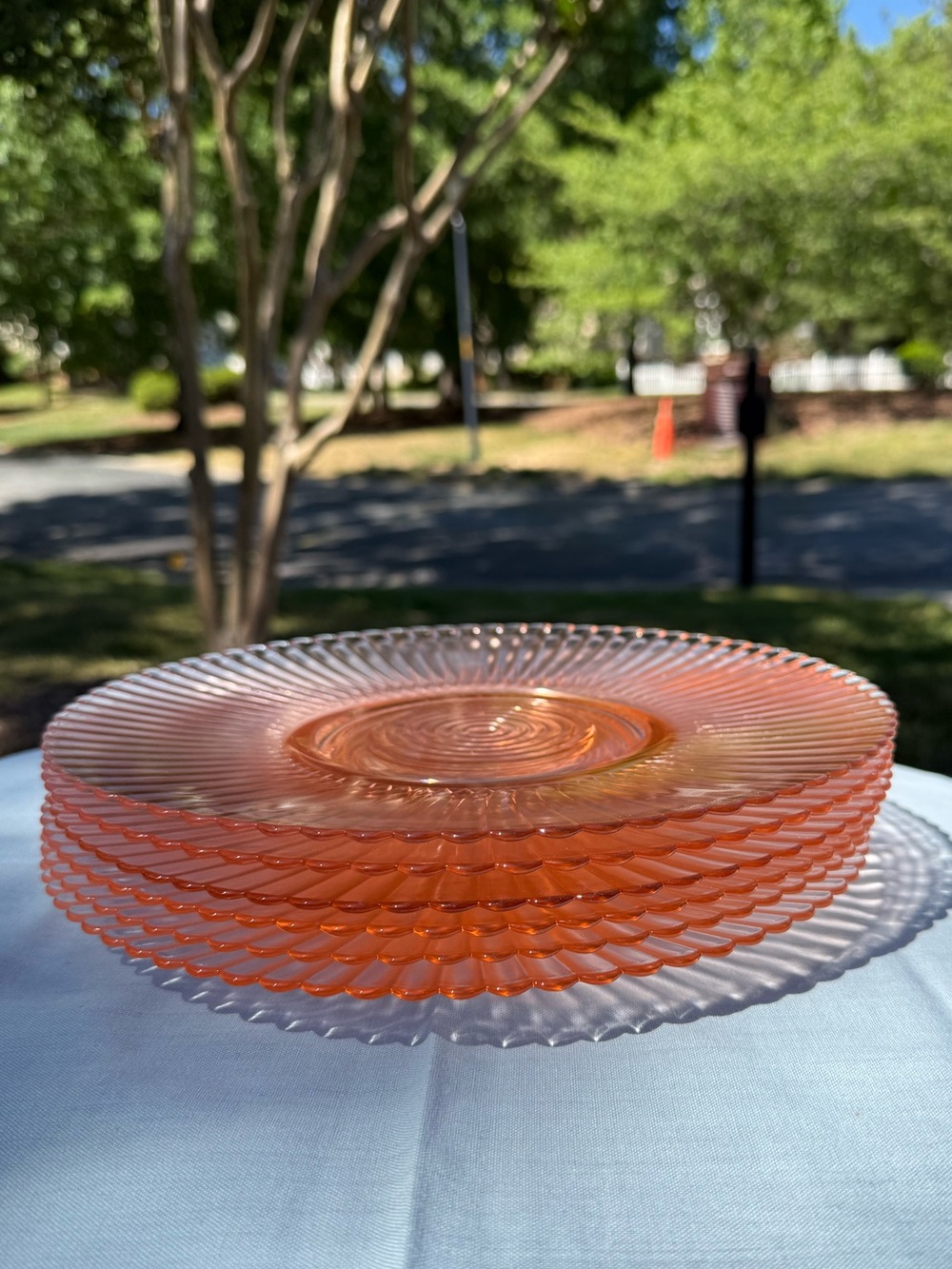 Vtg Mac-Beth Evan Petalware Pink Set of 6 9” Dinner Plates